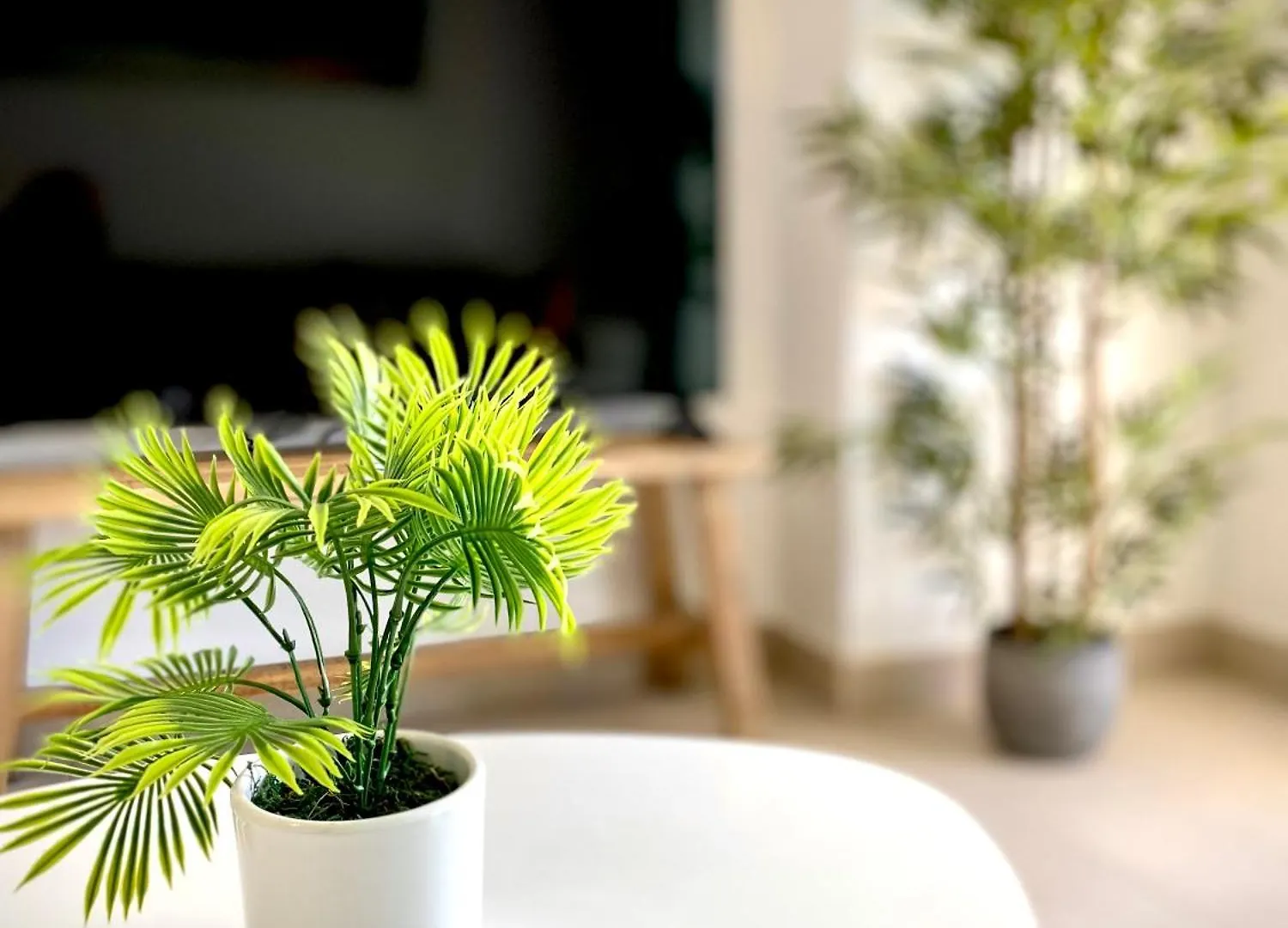 Appartement Mychoice Frida à Rota